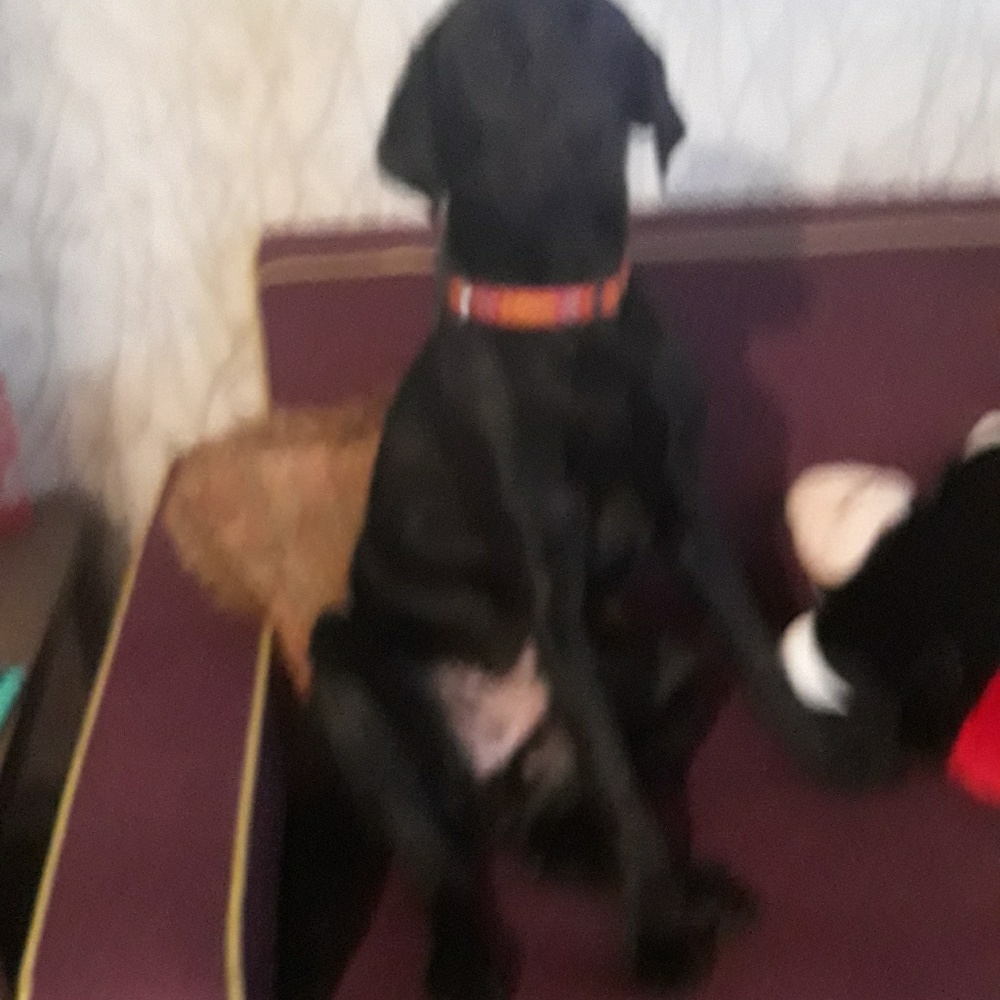 Meet your Posher, Aubrey